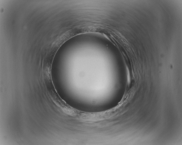 X0000072500045200607141140