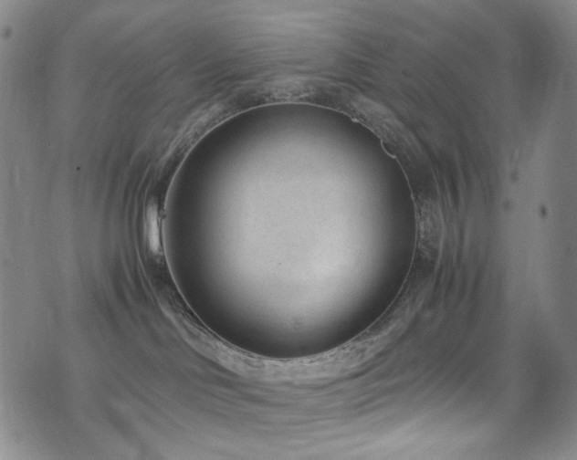 X0000072500046200607141140