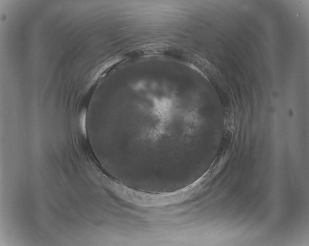 X0000072500047200607141140