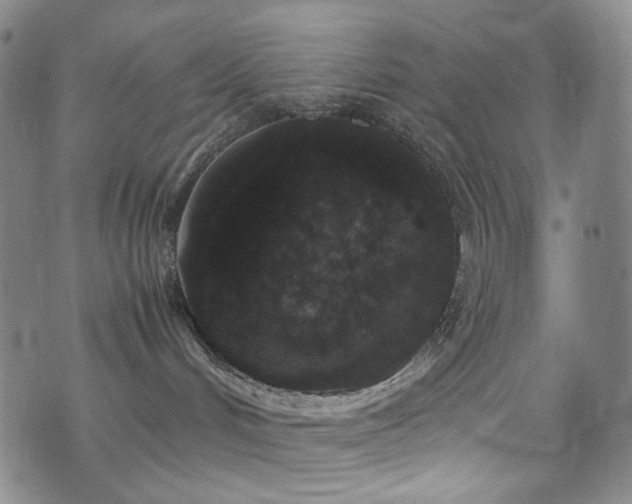 X0000072500048200607141140