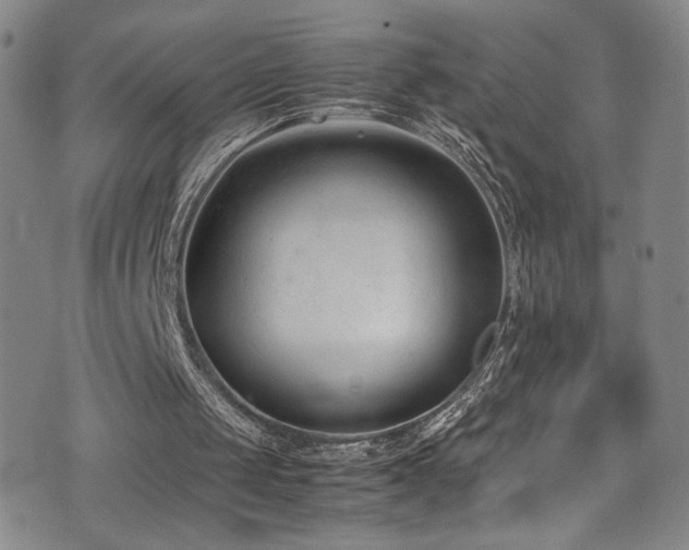 X0000072500049200607141139