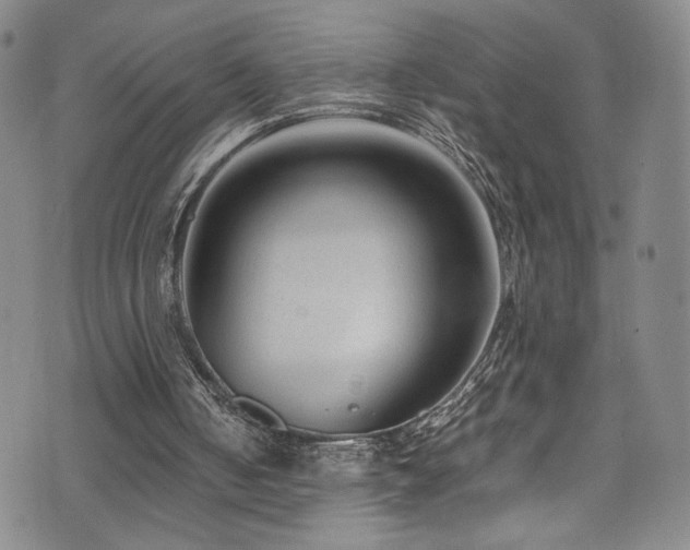 X0000072500050200607141139