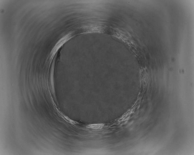 X0000072500051200607141139