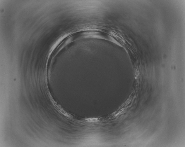 X0000072500052200607141139