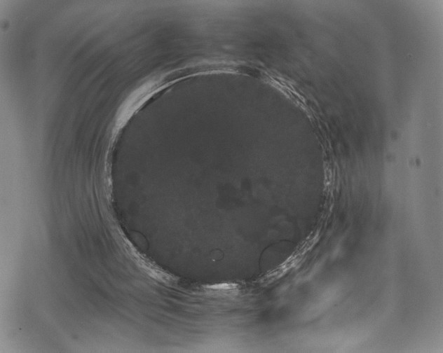 X0000072500053200607141140