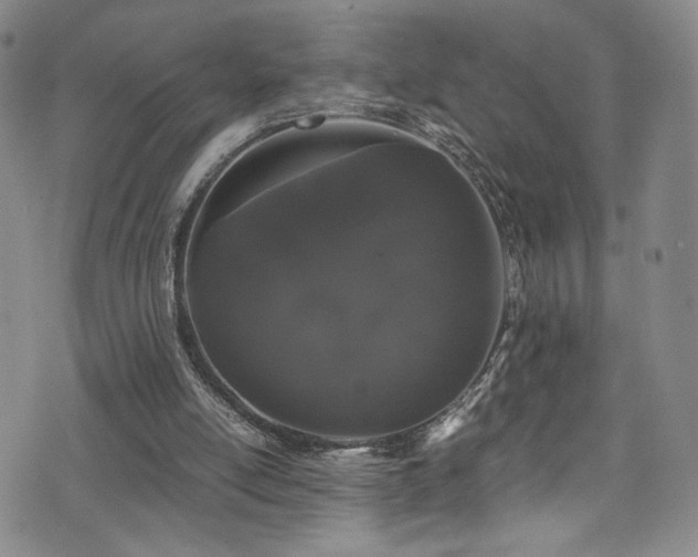 X0000072500054200607141140