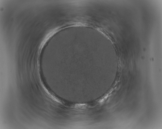 X0000072500055200607141140