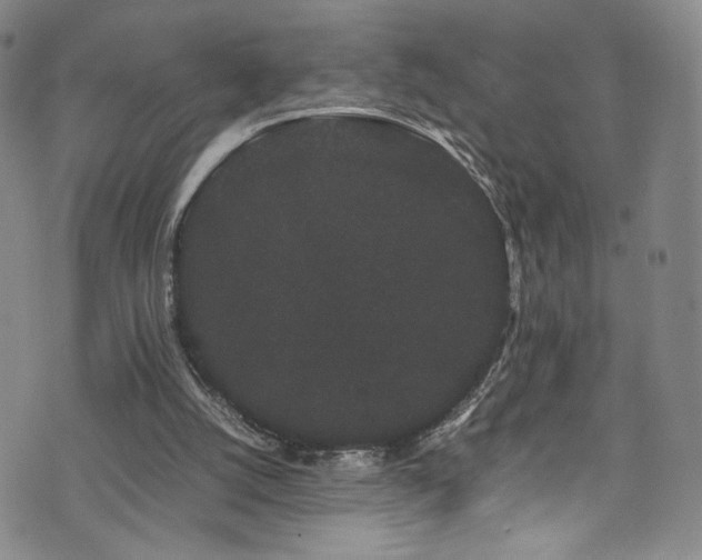 X0000072500056200607141140