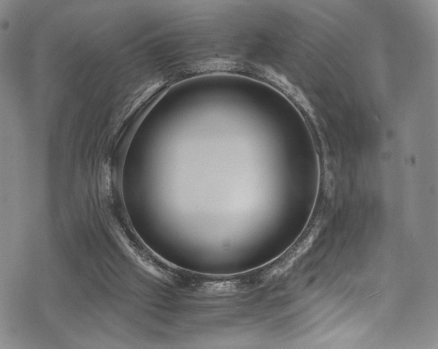 X0000072500057200607141140