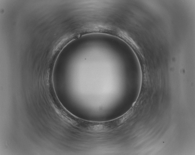 X0000072500058200607141140