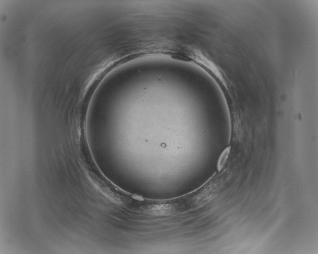 X0000072500059200607141140