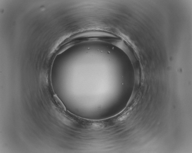 X0000072500060200607141140