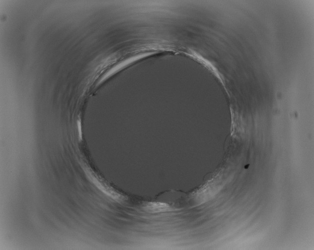 X0000072500061200607141140