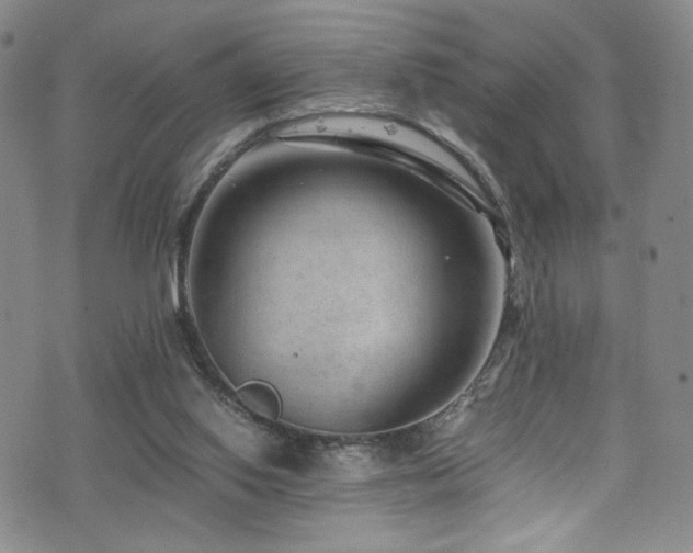 X0000072500062200607141140