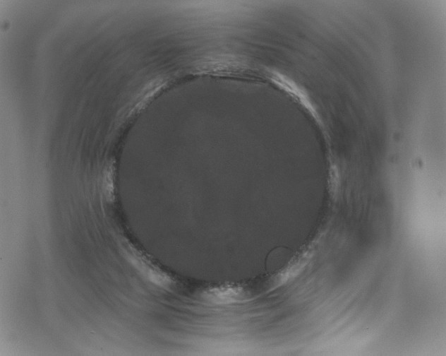 X0000072500065200607141140