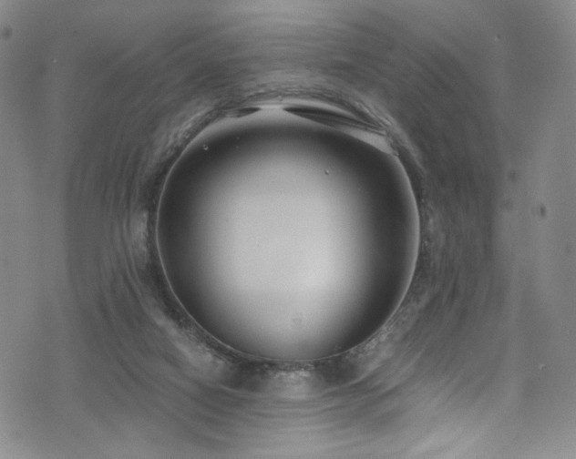 X0000072500066200607141140