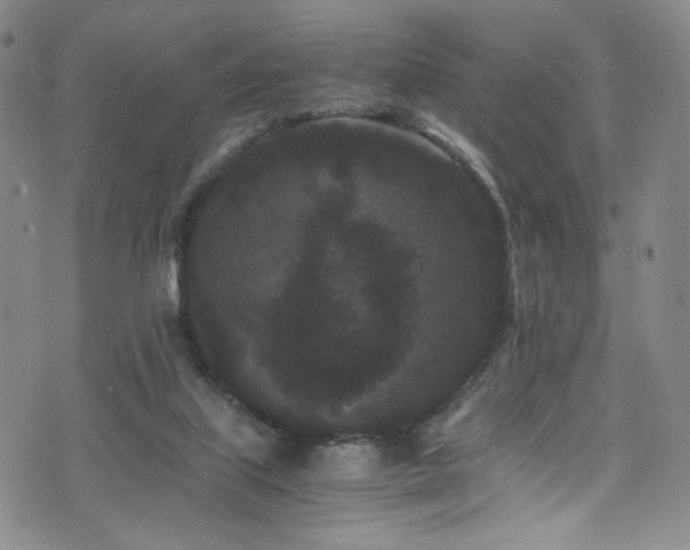 X0000072500067200607141140