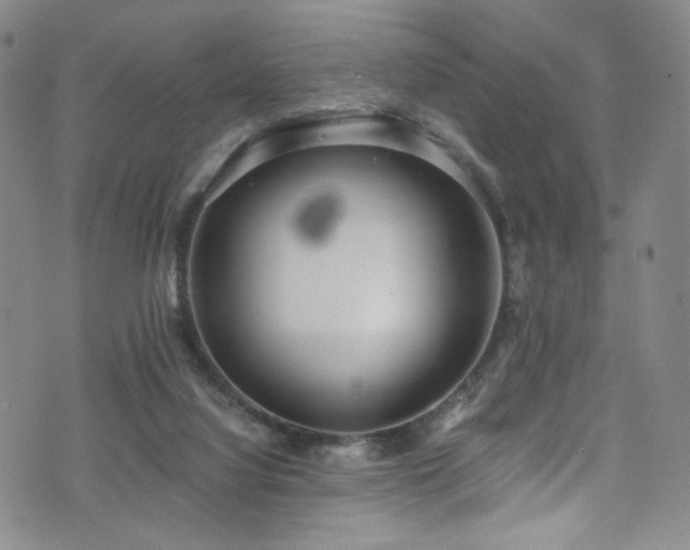 X0000072500068200607141140