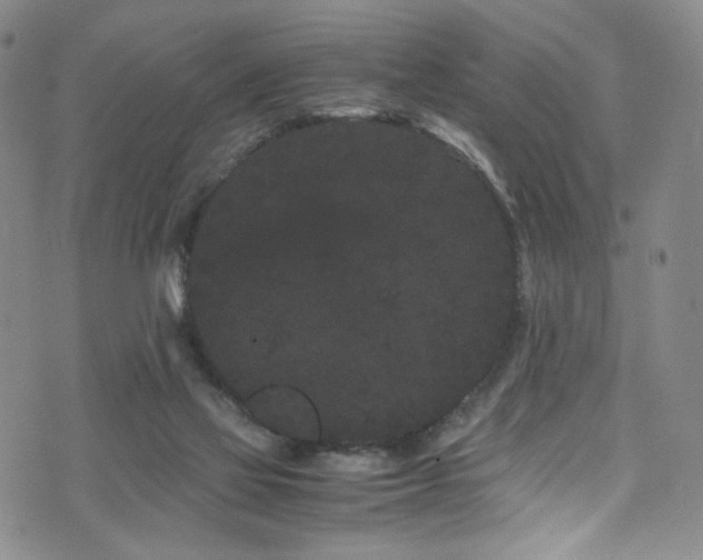 X0000072500069200607141140