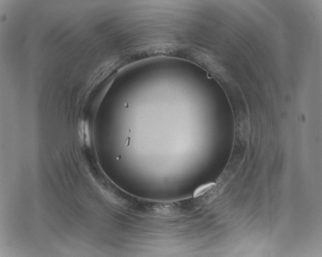 X0000072500070200607141140