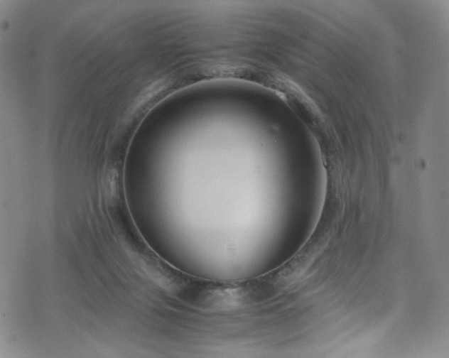 X0000072500071200607141140