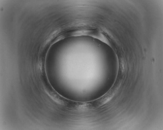 X0000072500072200607141140