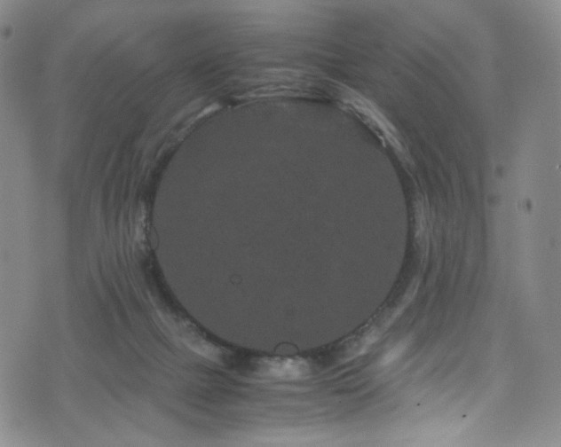 X0000072500073200607141140