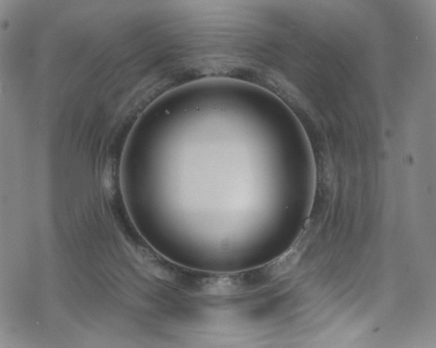 X0000072500074200607141140