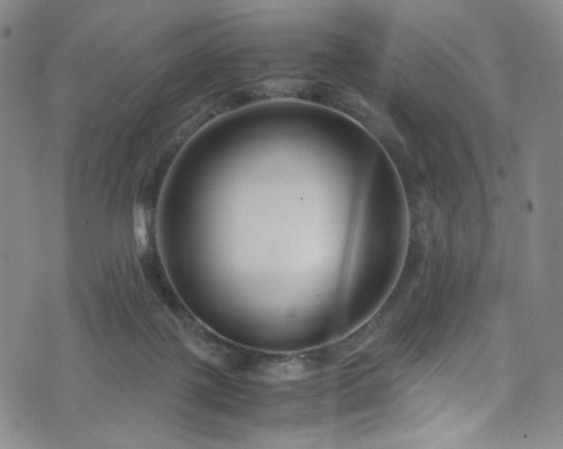 X0000072500075200607141140