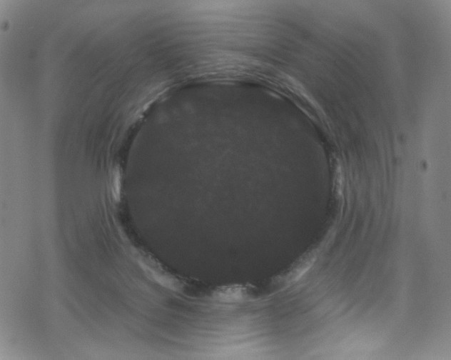 X0000072500076200607141140