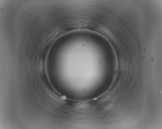 X0000072500077200607141140