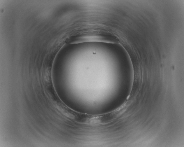 X0000072500078200607141140