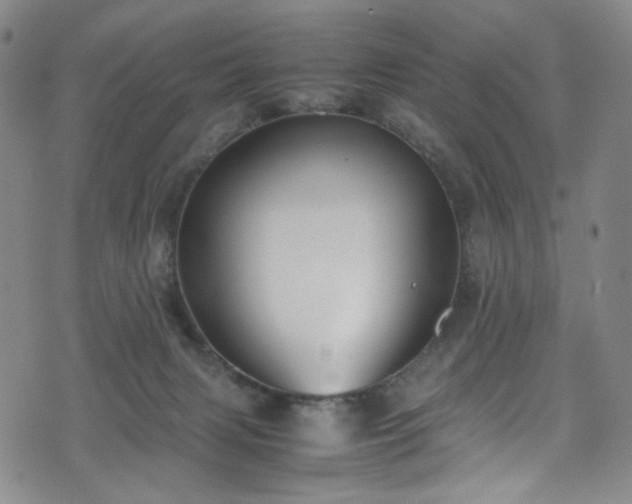 X0000072500079200607141140