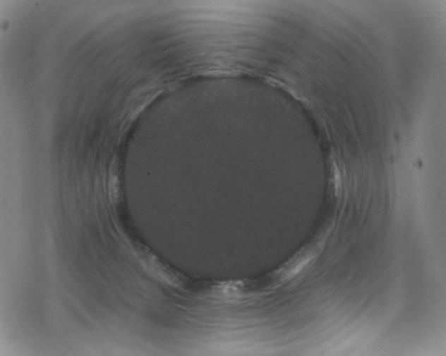 X0000072500080200607141140