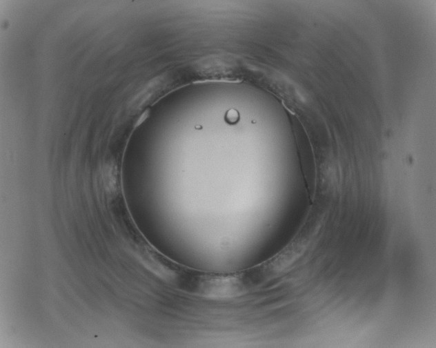 X0000072500081200607141140