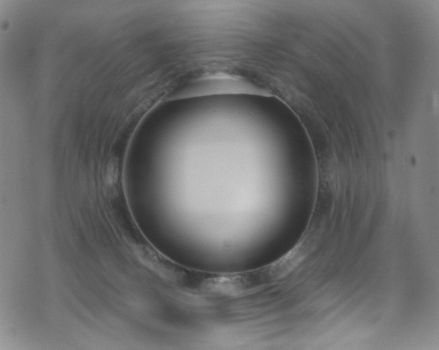 X0000072500082200607141140