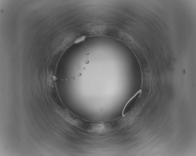 X0000072500083200607141140