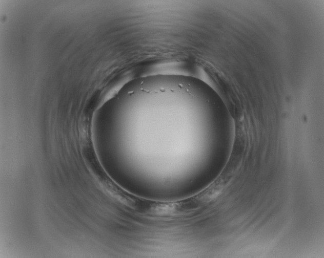 X0000072500084200607141140