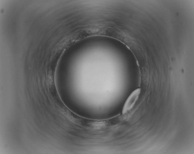 X0000072500085200607141140