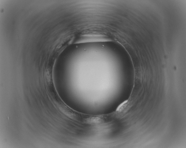 X0000072500086200607141140