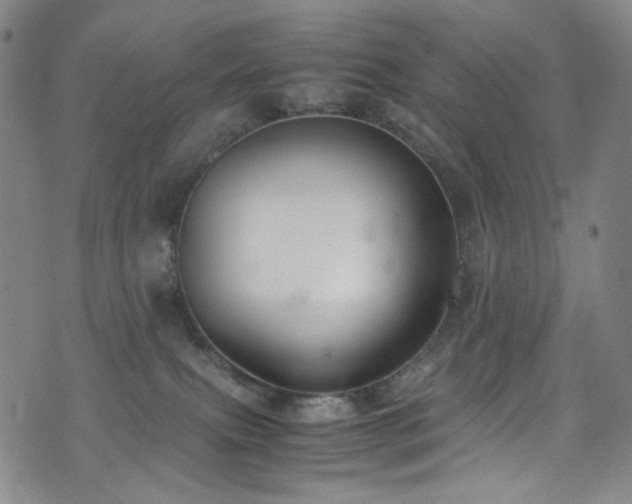 X0000072500087200607141140