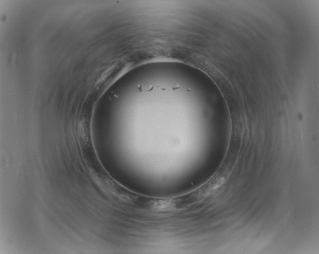 X0000072500088200607141140