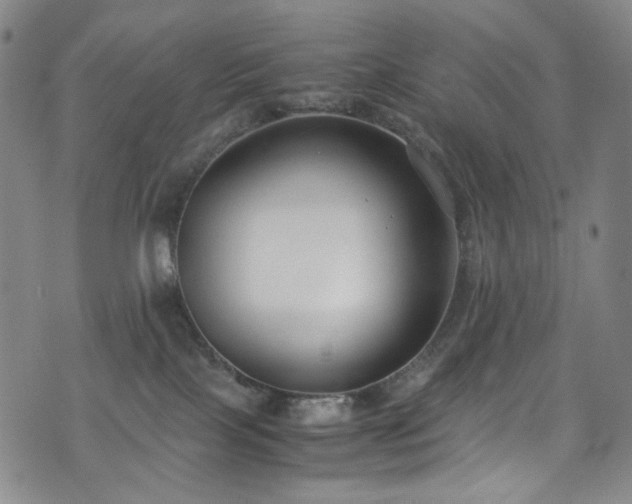 X0000072500089200607141140