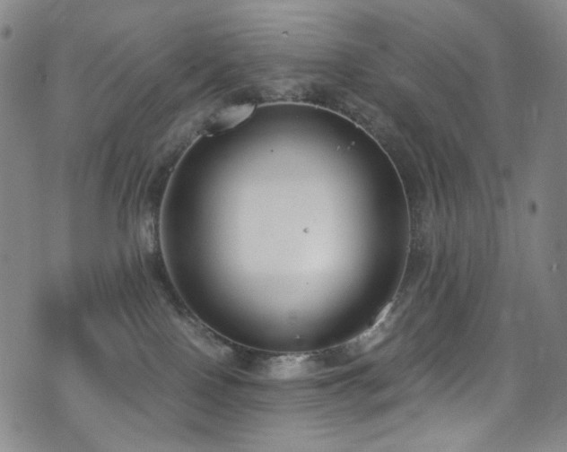 X0000072500090200607141140