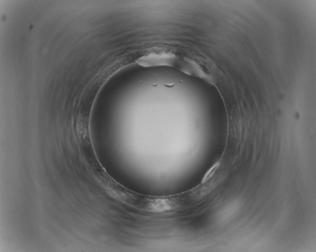 X0000072500091200607141140