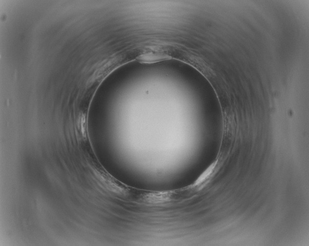 X0000072500094200607141140