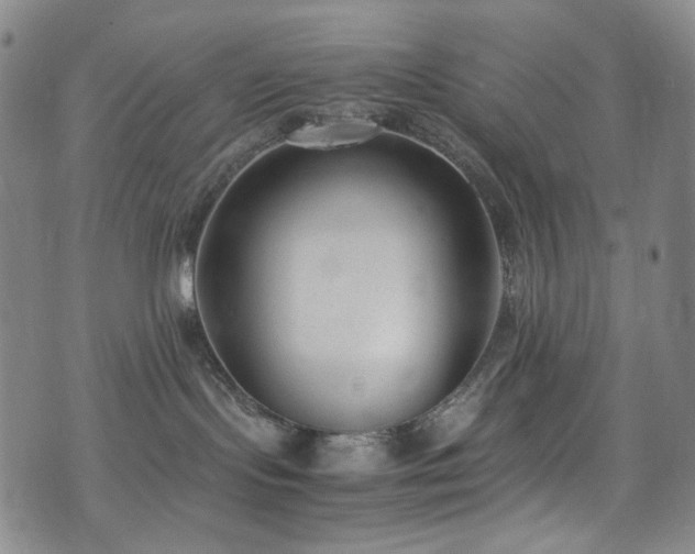 X0000072500095200607141140