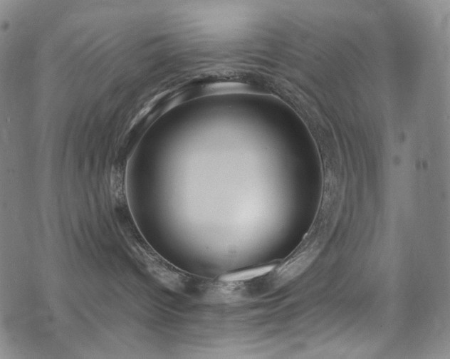 X0000072500096200607141140