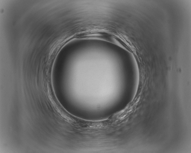 X0000072500097200607141139