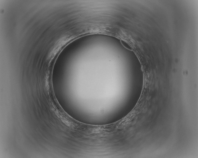 X0000072500098200607141139